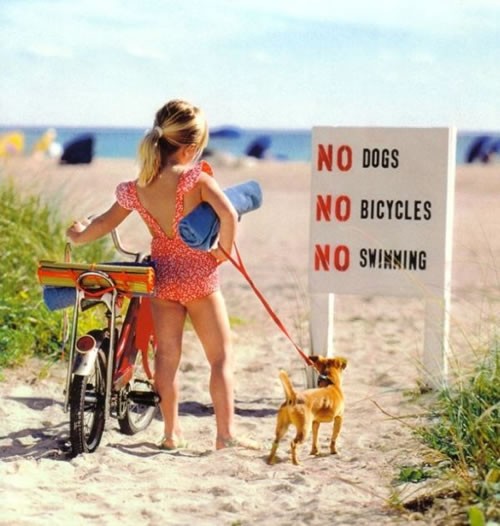 No dogs, no bicycles, no swimming