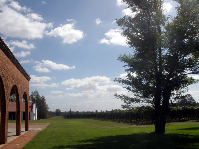 Bodegas de Bouza, Montevideo