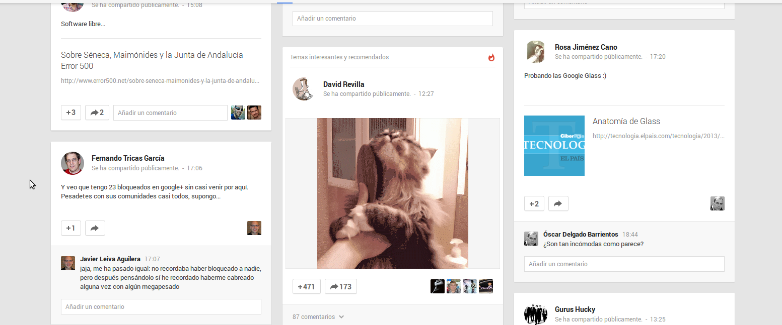 Nuevo Google+, los gatos e Internet